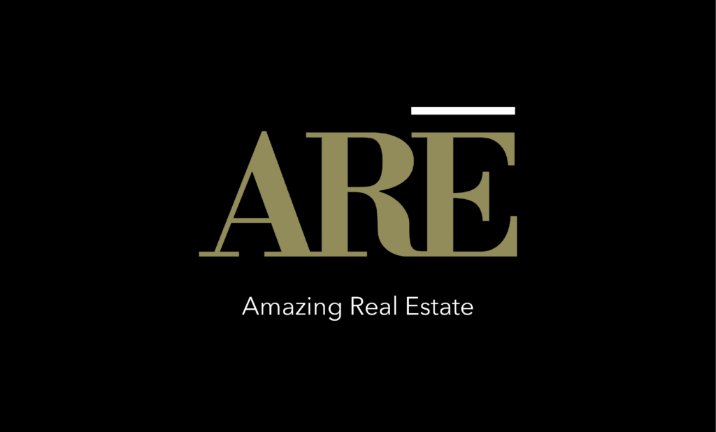Amazing Real Estate Logo
