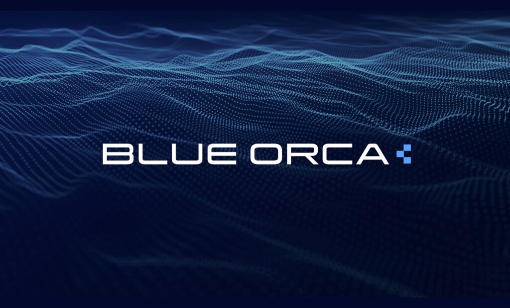 Blue Orca Logo