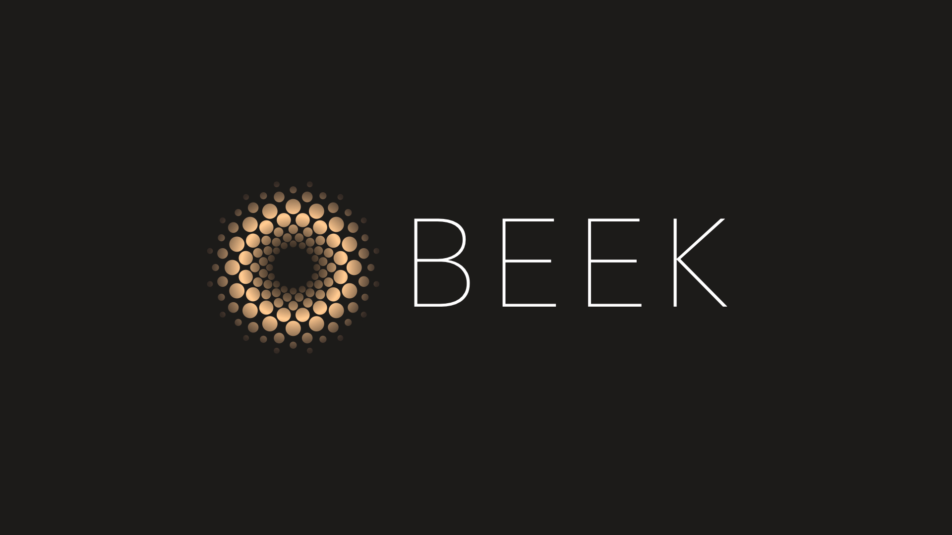 BEEK Company Logo 1